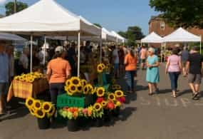 Farmers Markets and Public Markets